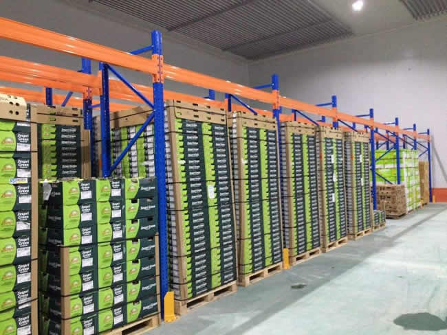 桃、李、杏水果儲(chǔ)存保鮮冷庫建造及造價(jià)